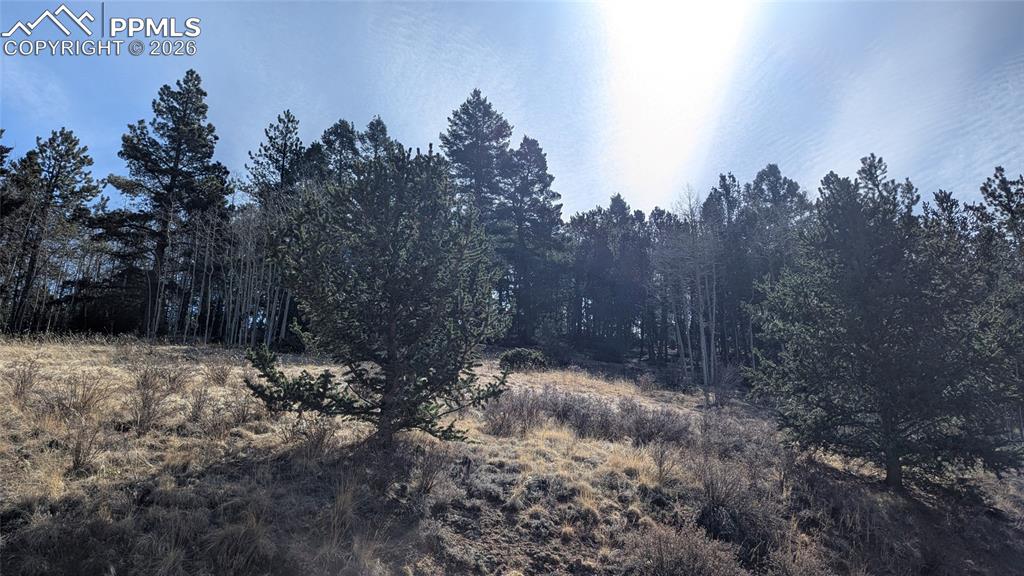 136 Valley Road Divide CO 80814
