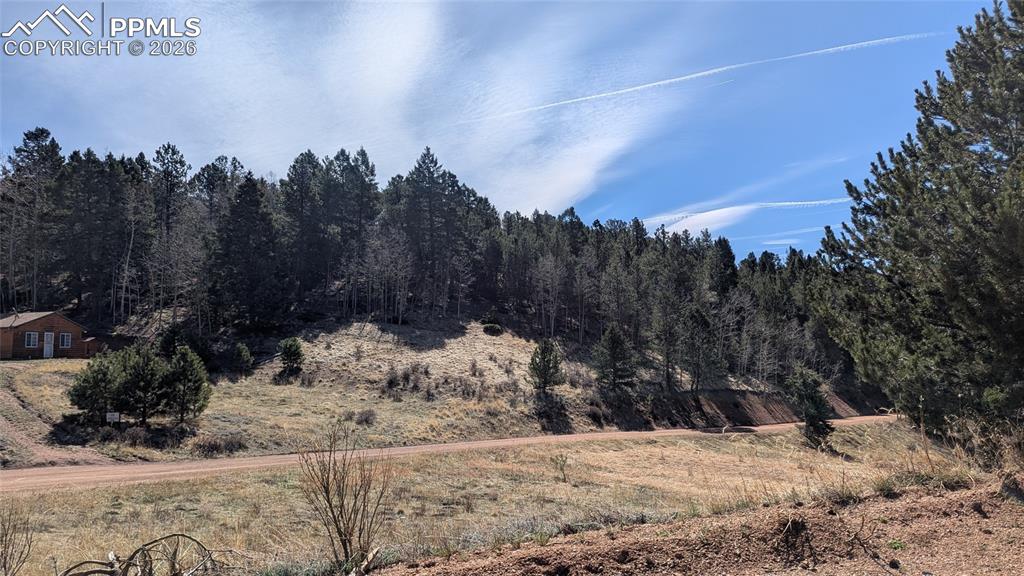136 Valley Road Divide CO 80814