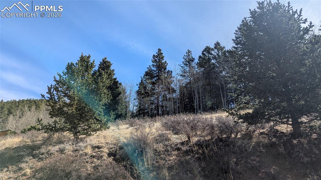 136 Valley Road Divide CO 80814