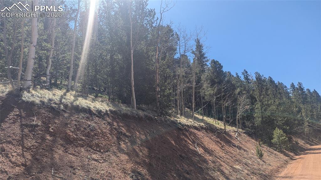 136 Valley Road Divide CO 80814
