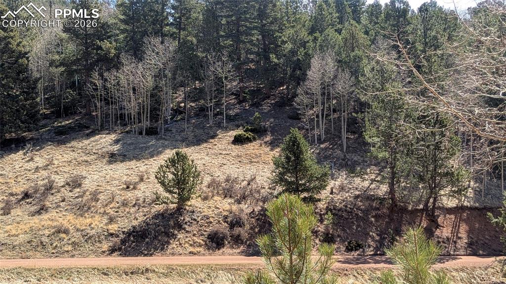 136 Valley Road Divide CO 80814