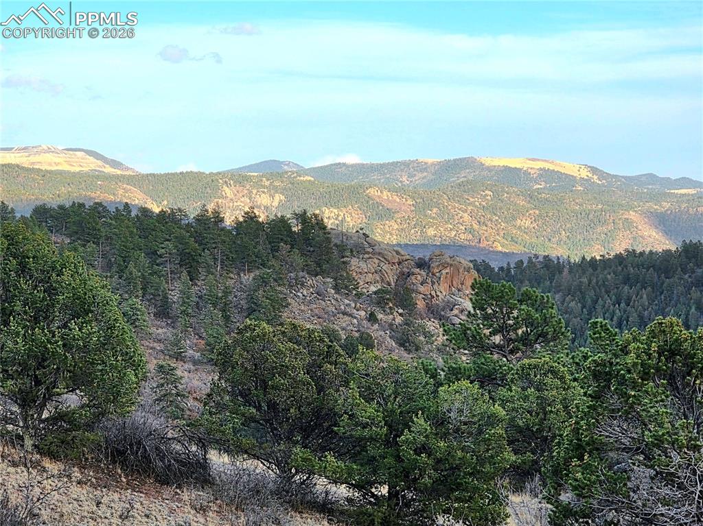 204 Pine Road Florissant CO 80816