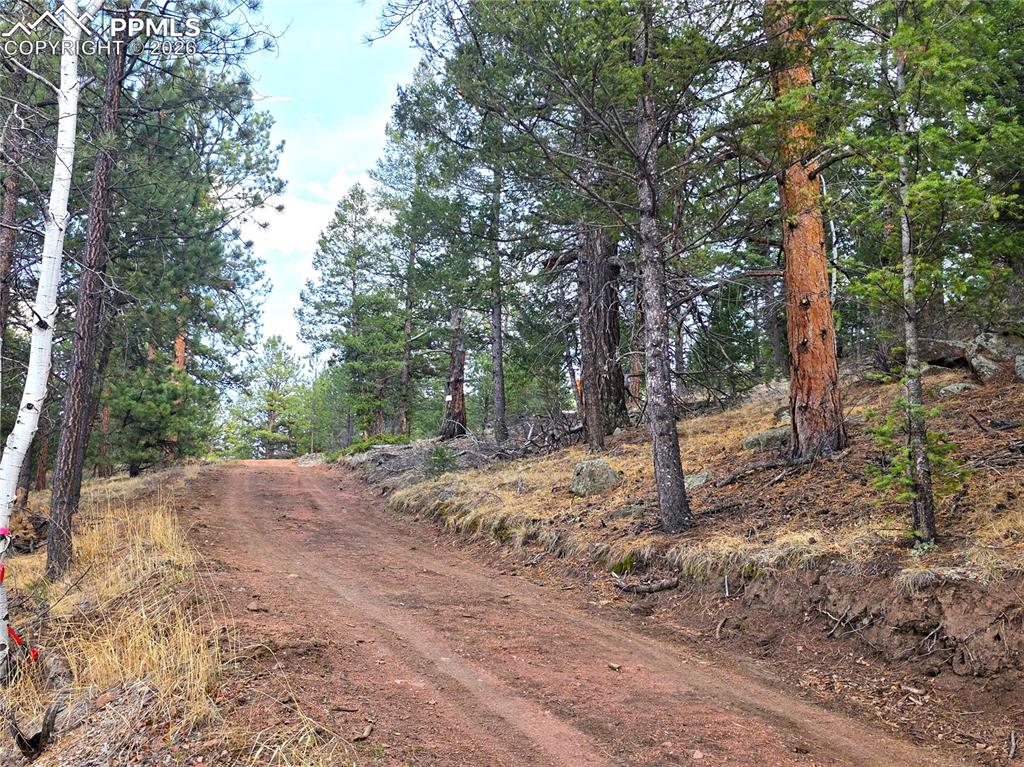 204 Pine Road Florissant CO 80816