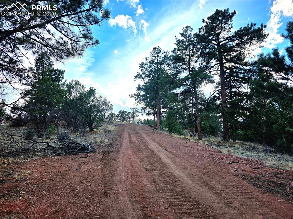204 Pine Road Florissant CO 80816