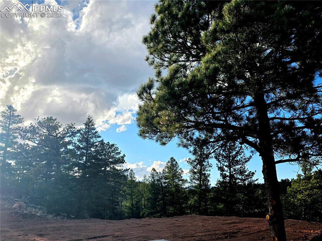 204 Pine Road Florissant CO 80816