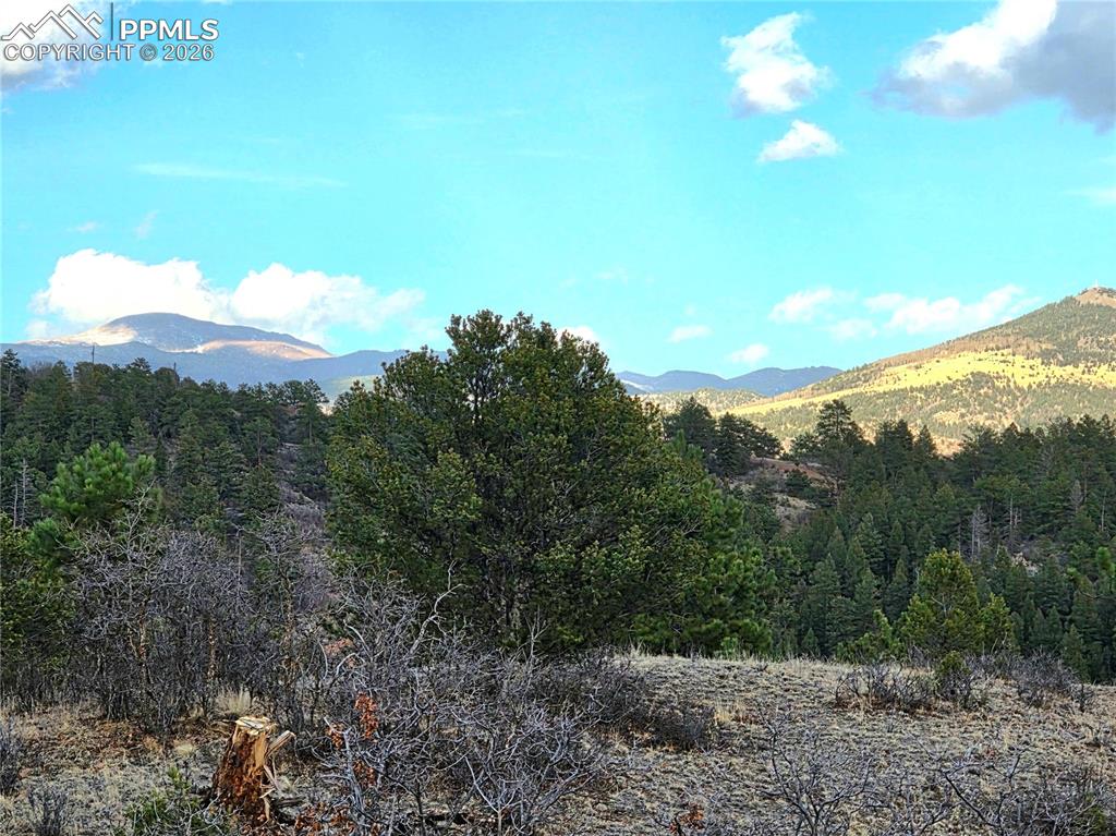 204 Pine Road Florissant CO 80816