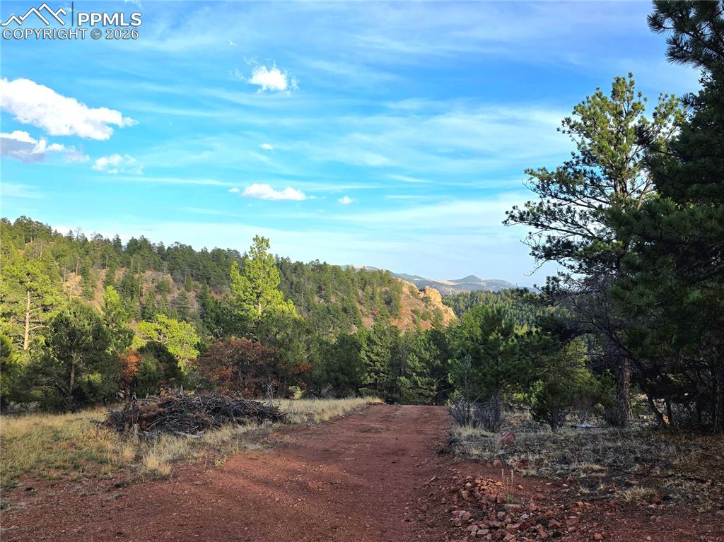204 Pine Road Florissant CO 80816