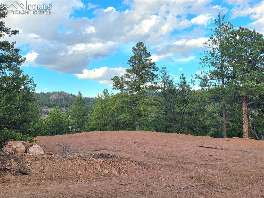 204 Pine Road Florissant CO 80816