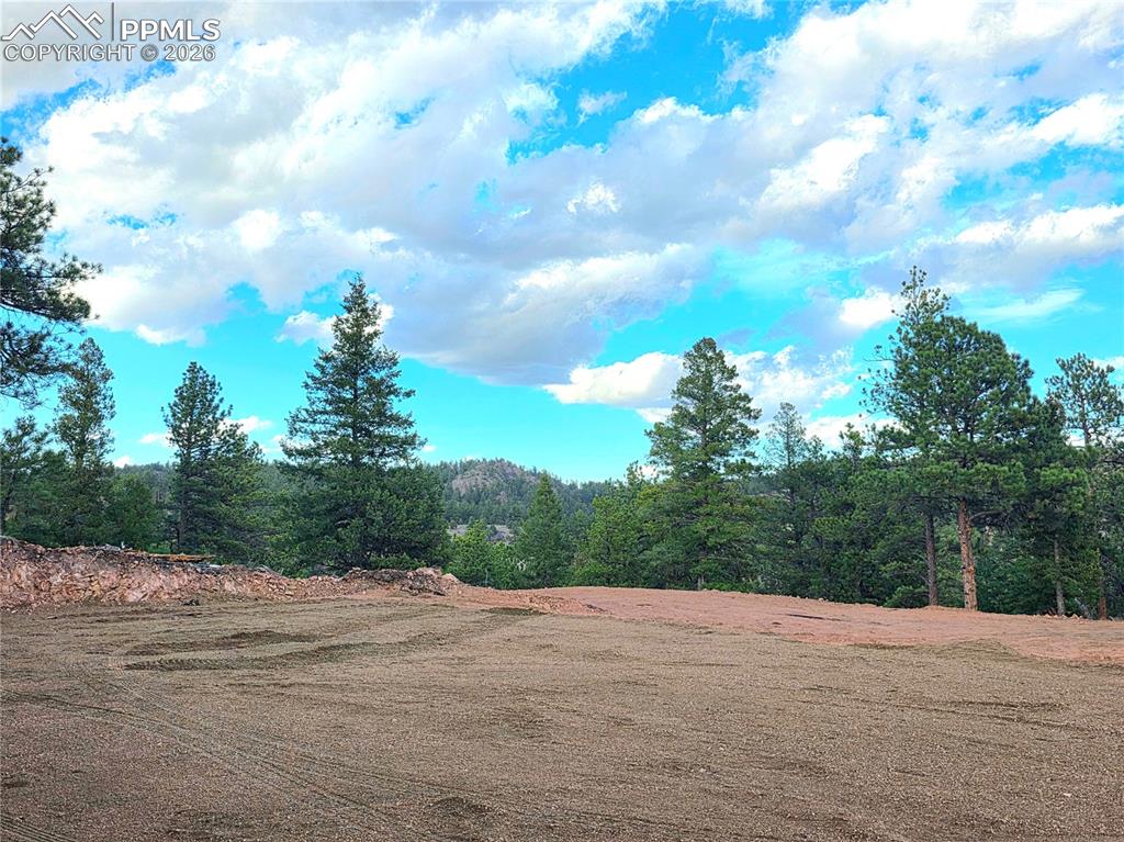 204 Pine Road Florissant CO 80816