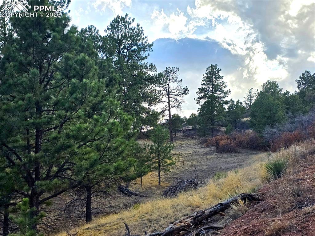 204 Pine Road Florissant CO 80816