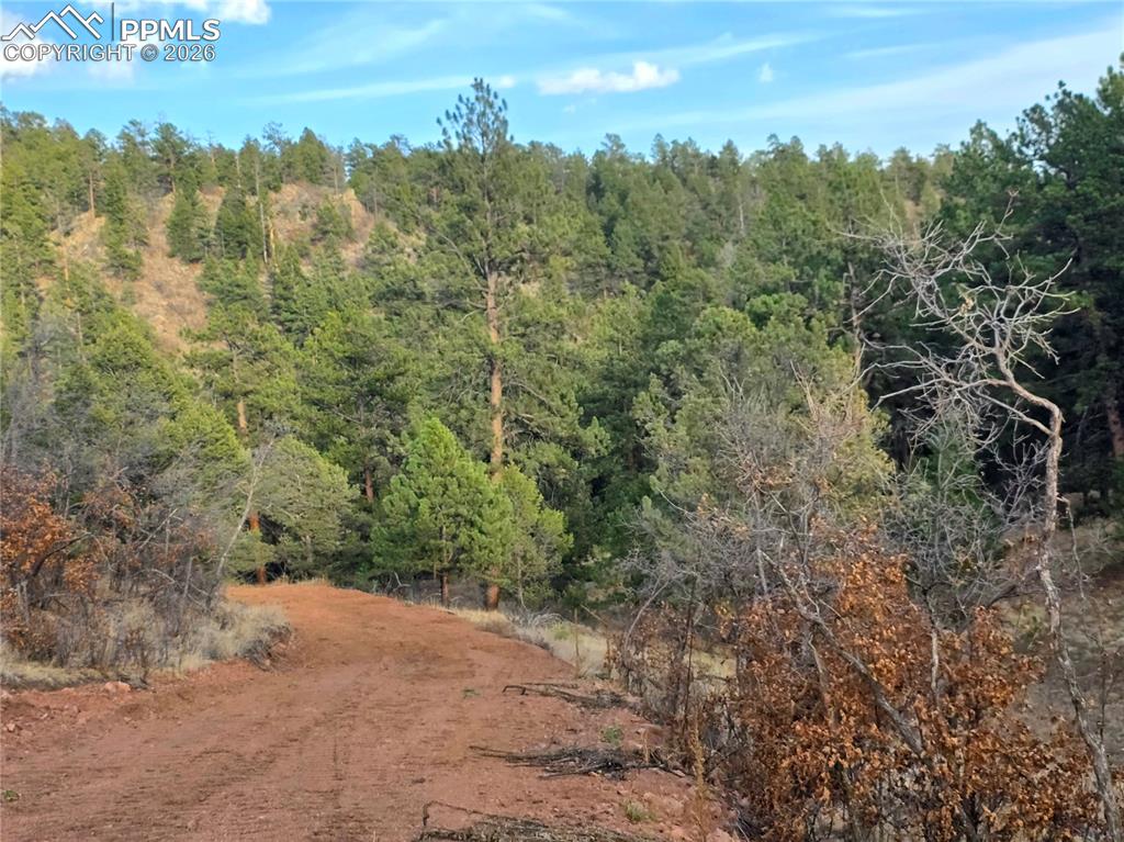 204 Pine Road Florissant CO 80816
