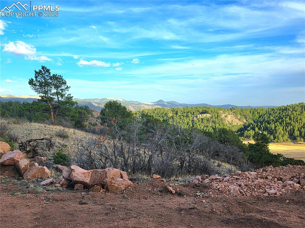 204 Pine Road Florissant CO 80816