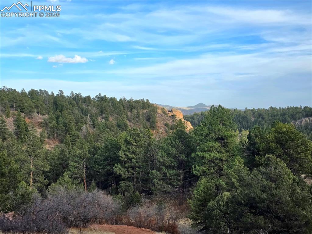 204 Pine Road Florissant CO 80816