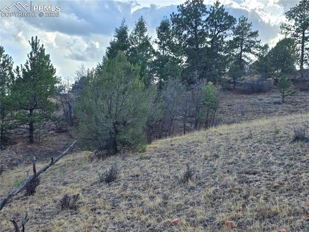 204 Pine Road Florissant CO 80816