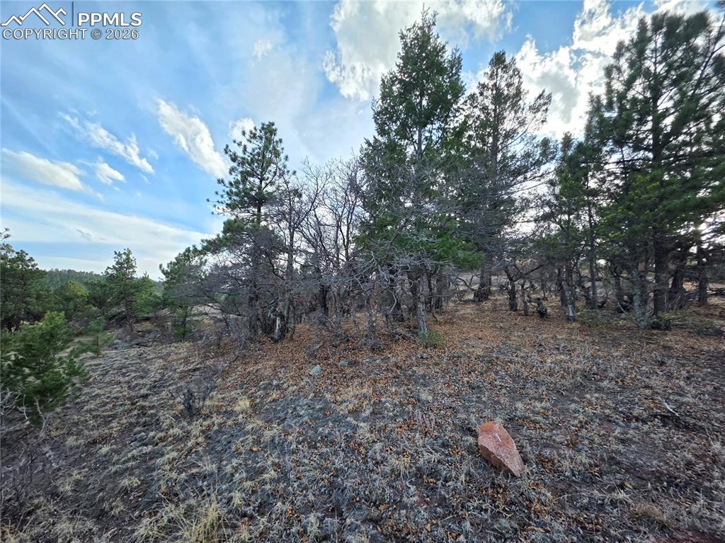 204 Pine Road Florissant CO 80816