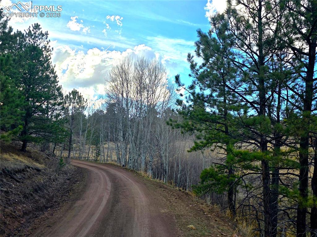 204 Pine Road Florissant CO 80816