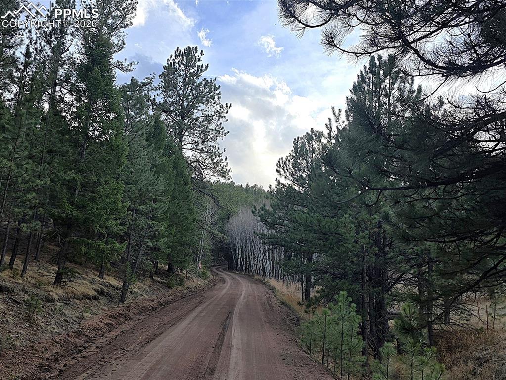204 Pine Road Florissant CO 80816