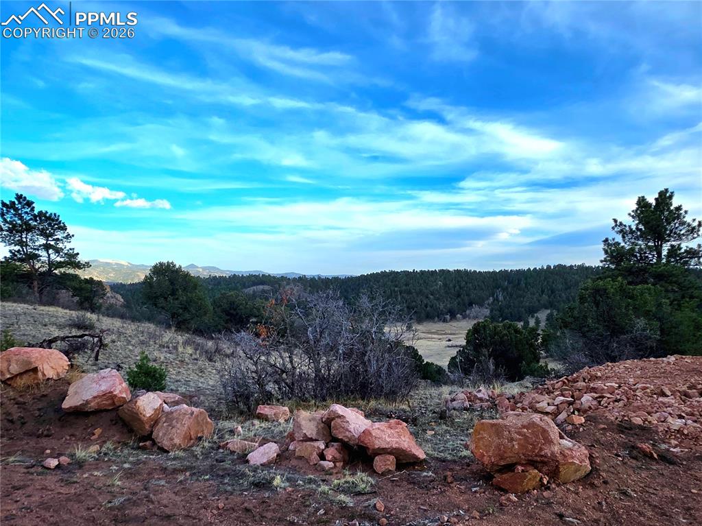 204 Pine Road Florissant CO 80816