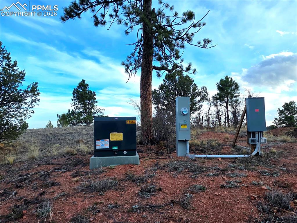 204 Pine Road Florissant CO 80816