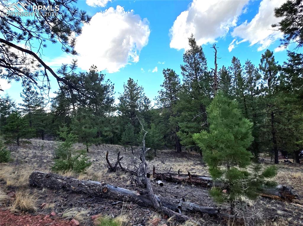 204 Pine Road Florissant CO 80816