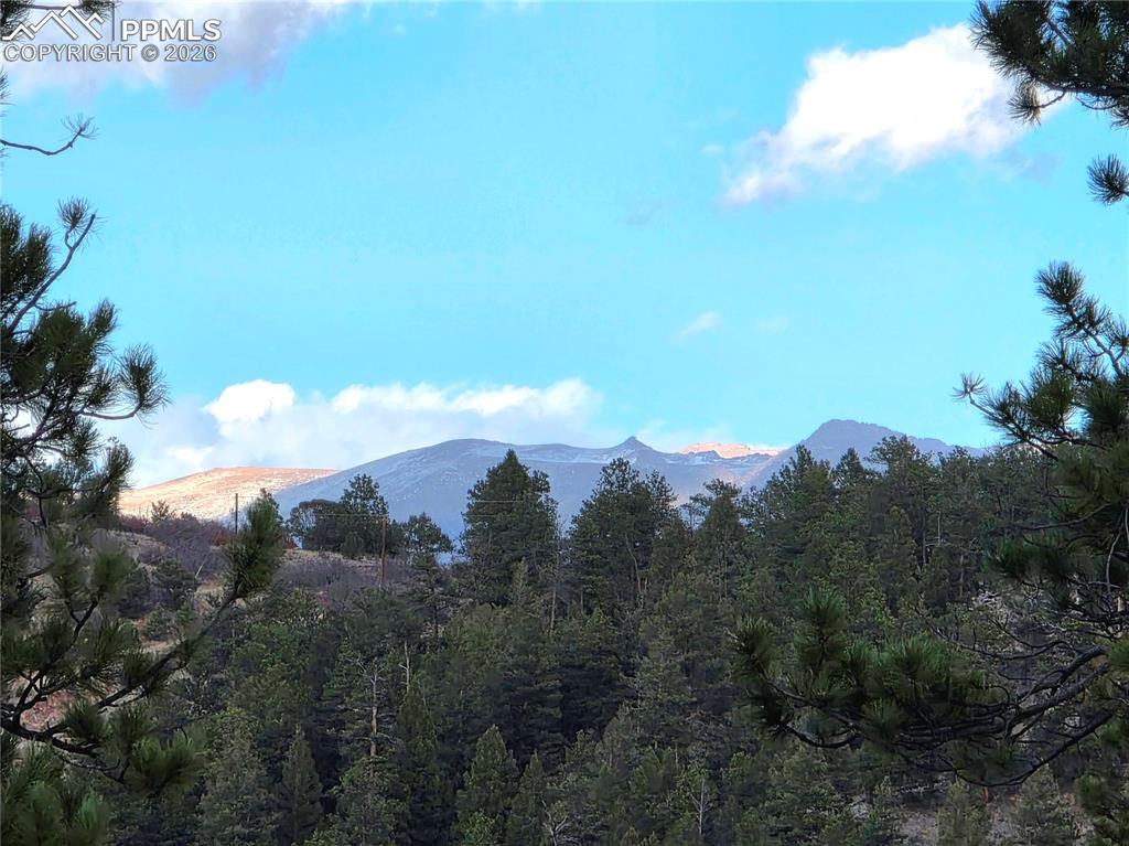204 Pine Road Florissant CO 80816