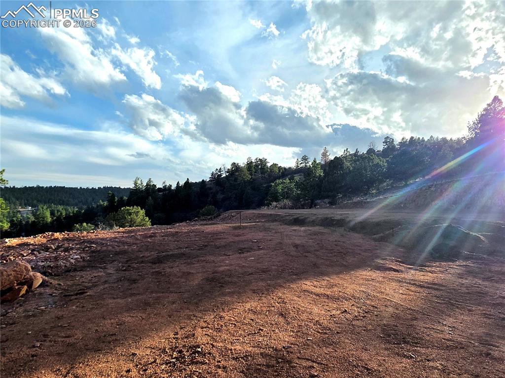 204 Pine Road Florissant CO 80816