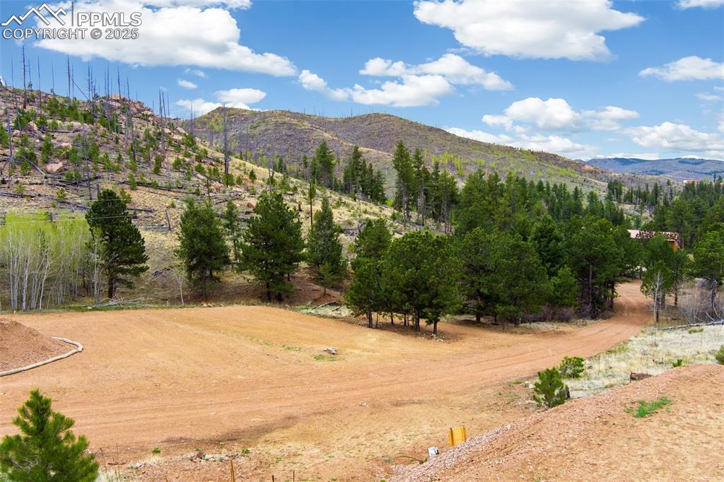 13990 S Highway 67 Woodland Park CO 80863
