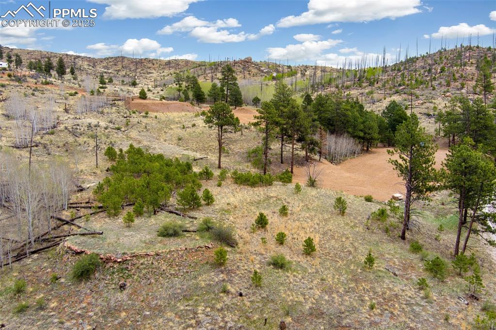 13990 S Highway 67 Woodland Park CO 80863