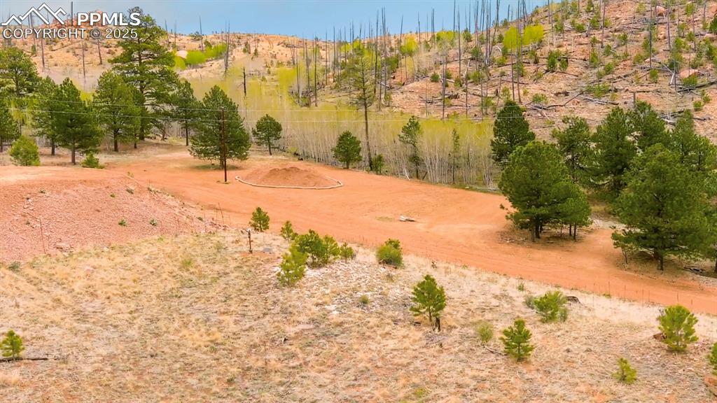 13990 S Highway 67 Woodland Park CO 80863