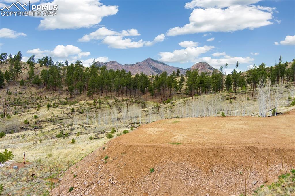 13990 S Highway 67 Woodland Park CO 80863
