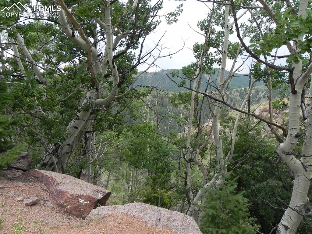 67 Ajax Court Cripple Creek CO 80813