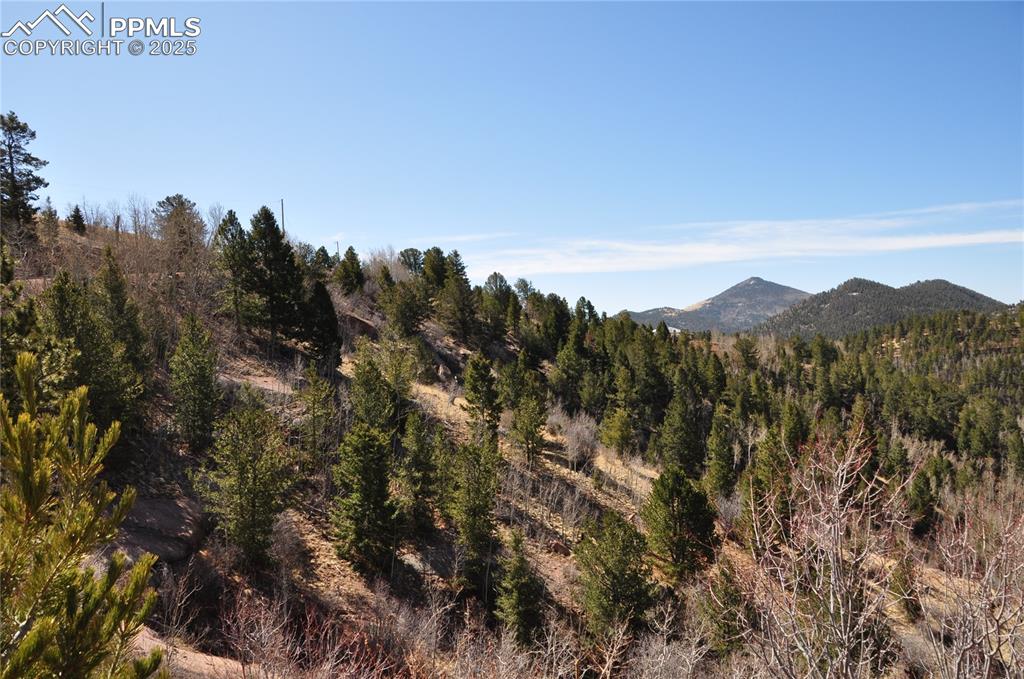 67 Ajax Court Cripple Creek CO 80813