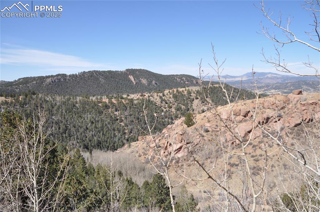 67 Ajax Court Cripple Creek CO 80813