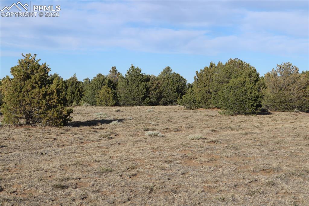 Lot 120 Bear Ridge Road Walsenburg CO 81089