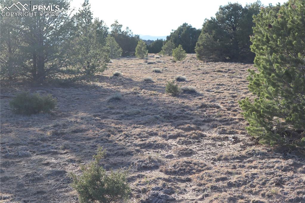 Lot 120 Bear Ridge Road Walsenburg CO 81089