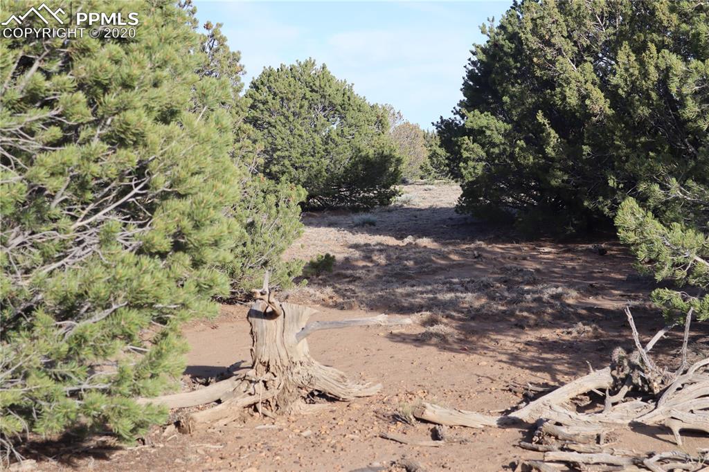 Lot 120 Bear Ridge Road Walsenburg CO 81089
