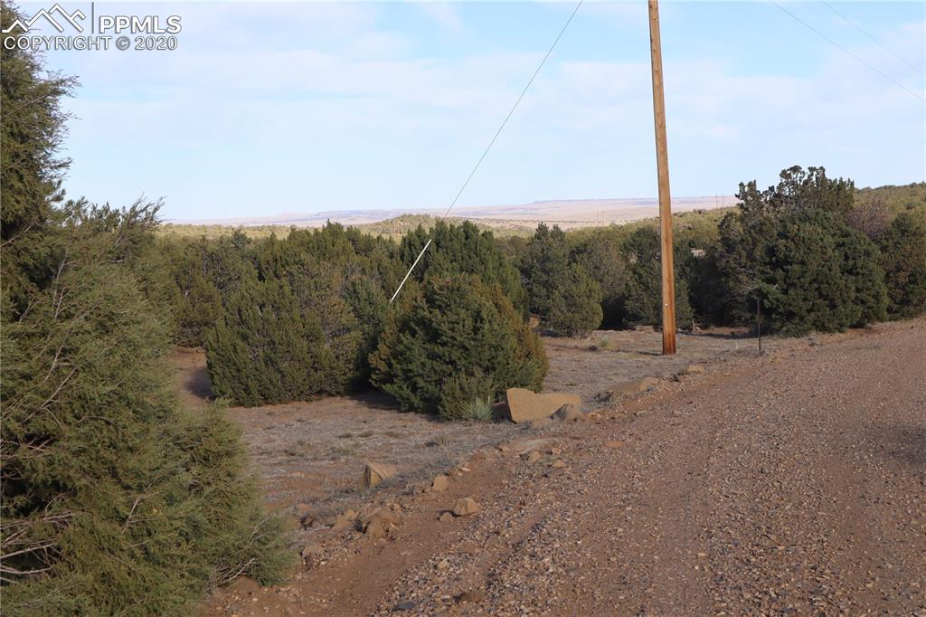 Lot 120 Bear Ridge Road Walsenburg CO 81089