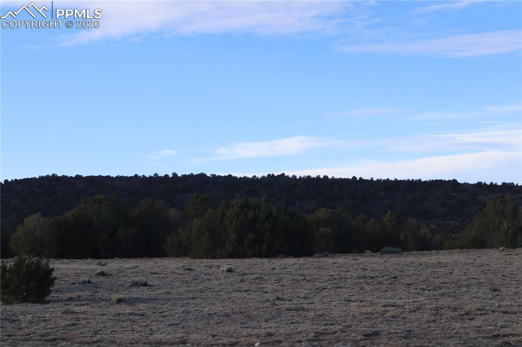 Lot 120 Bear Ridge Road Walsenburg CO 81089