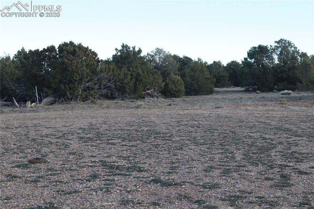 Lot 120 Bear Ridge Road Walsenburg CO 81089
