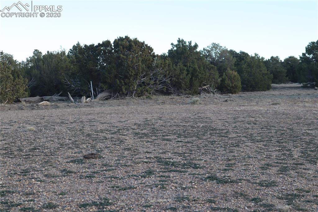 Lot 120 Bear Ridge Road Walsenburg CO 81089
