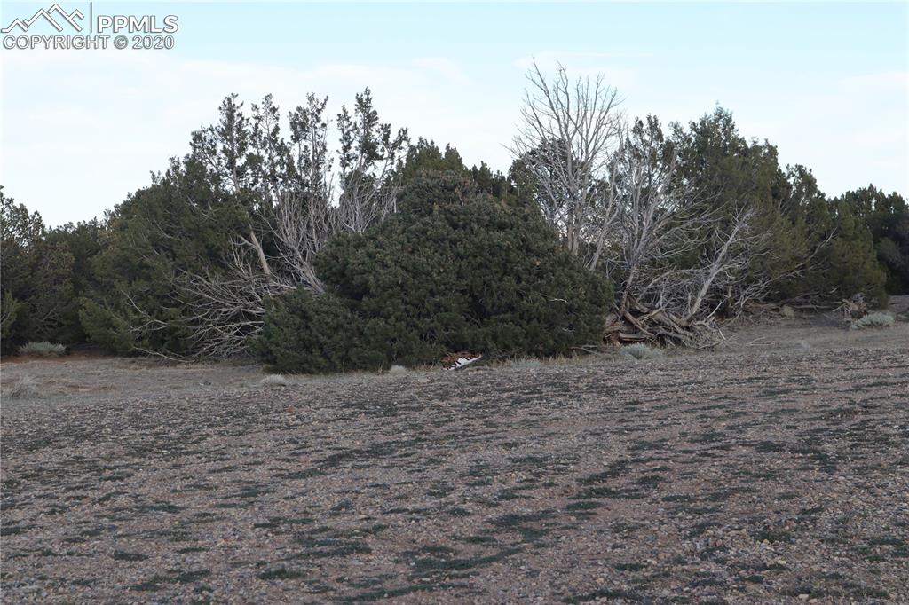 Lot 120 Bear Ridge Road Walsenburg CO 81089