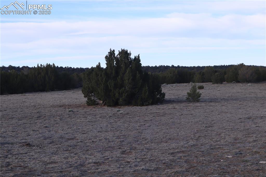 Lot 120 Bear Ridge Road Walsenburg CO 81089