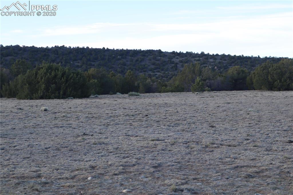 Lot 120 Bear Ridge Road Walsenburg CO 81089