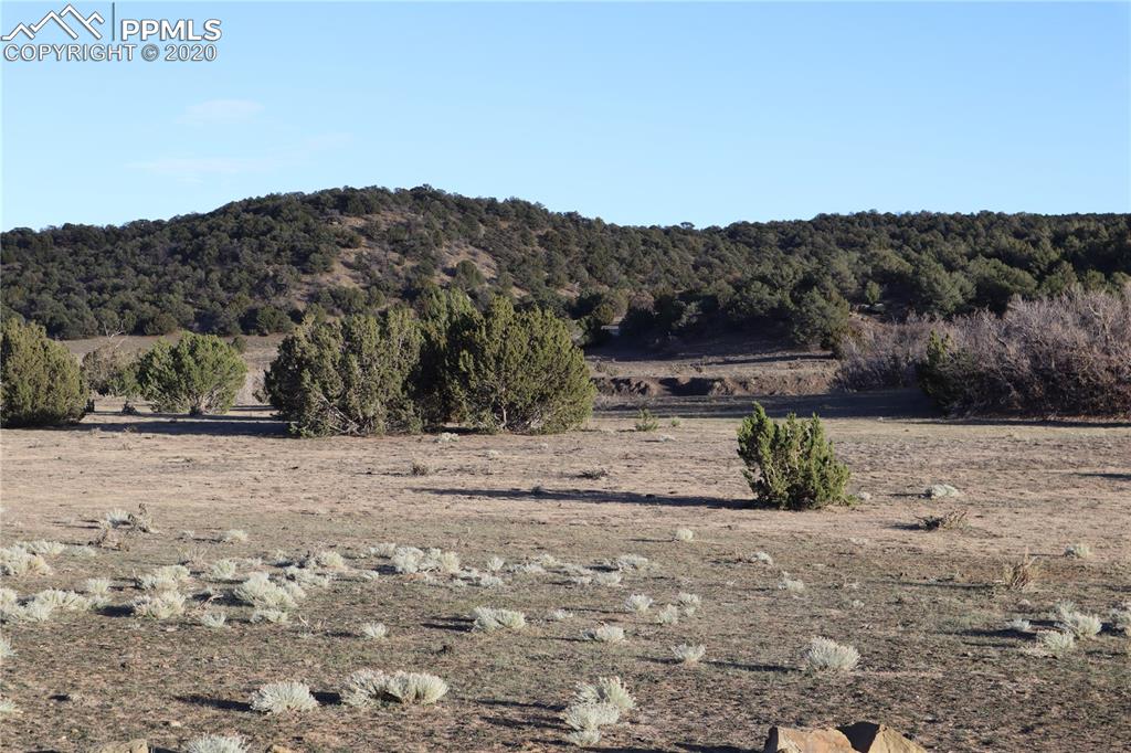 Lot 120 Bear Ridge Road Walsenburg CO 81089