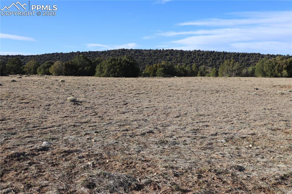 Lot 120 Bear Ridge Road Walsenburg CO 81089