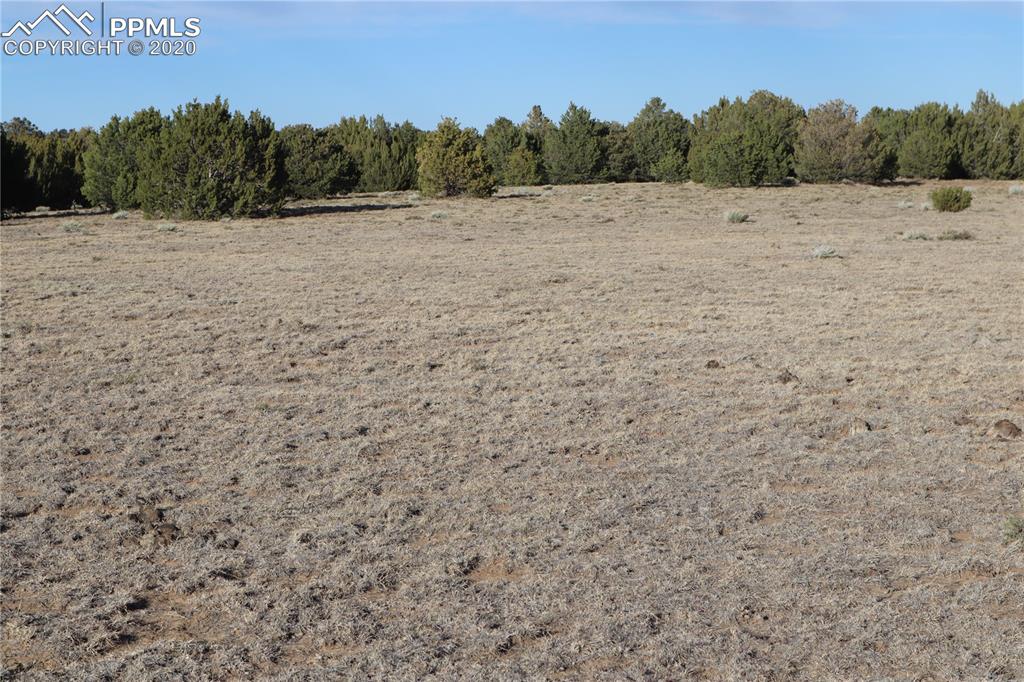 Lot 120 Bear Ridge Road Walsenburg CO 81089