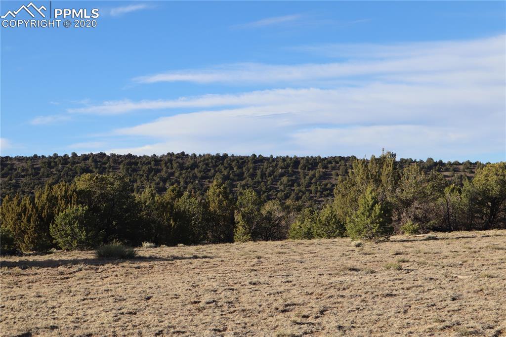Lot 120 Bear Ridge Road Walsenburg CO 81089