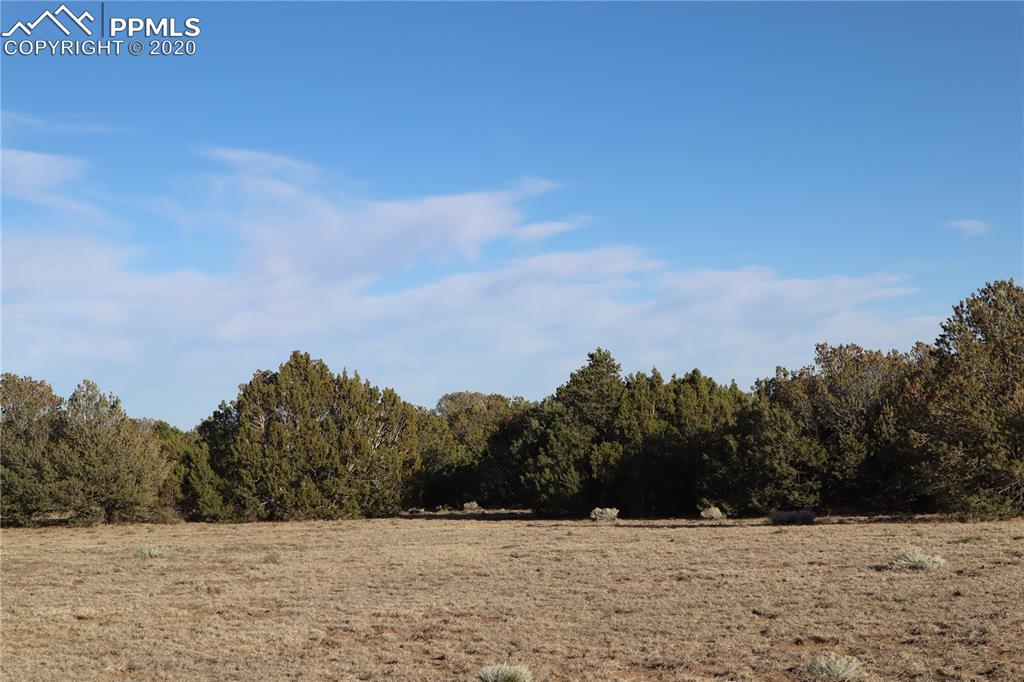 Lot 120 Bear Ridge Road Walsenburg CO 81089