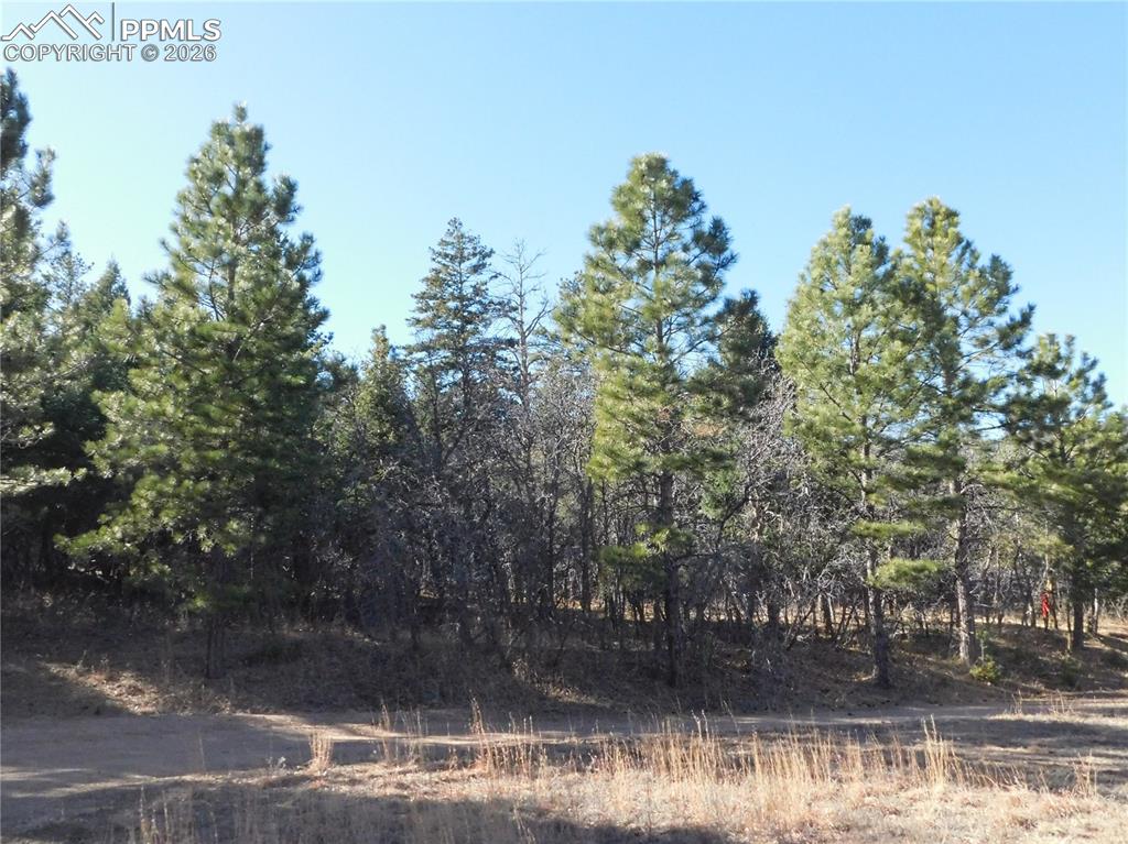 6294 Troon Court Larkspur CO 80118