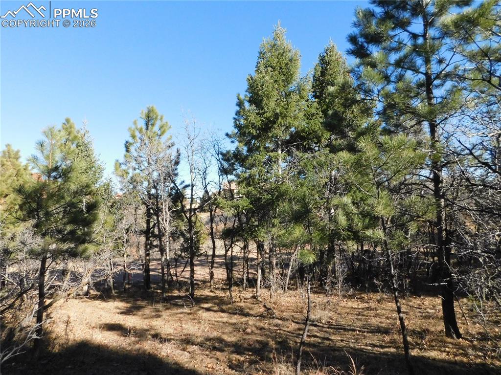 6294 Troon Court Larkspur CO 80118